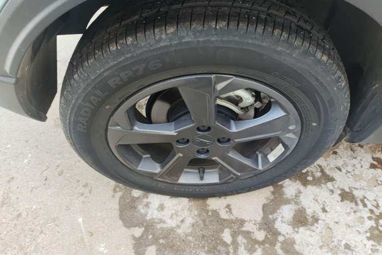 Used Geometry E Firefly 2022 320KM Cute Tiger 4-Seater