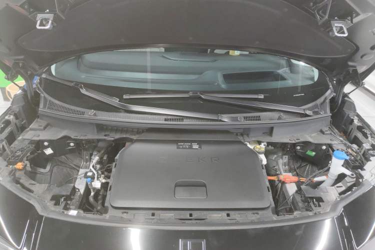 Used Zeekr 009 2024 GAC Trumpchi
