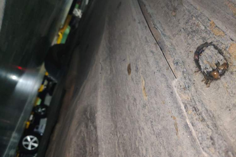 Used Volkswagen Tayron 2023 280TSI Two-Wheel-Drive Luxury Plus Advanced Version
