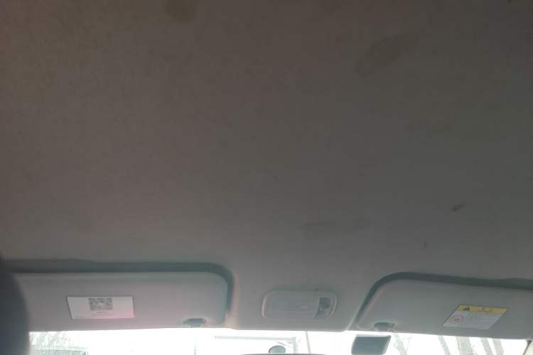 Used FORTHING SX6 2019 1.6L Manual Comfort Model China VI Standard