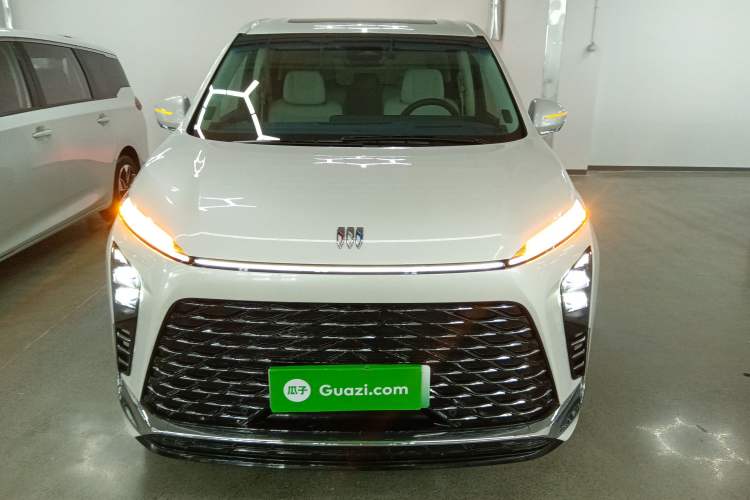 Used Buick GL8 New Energy 2024 Lu Zun Luxury Edition 7-Seater
