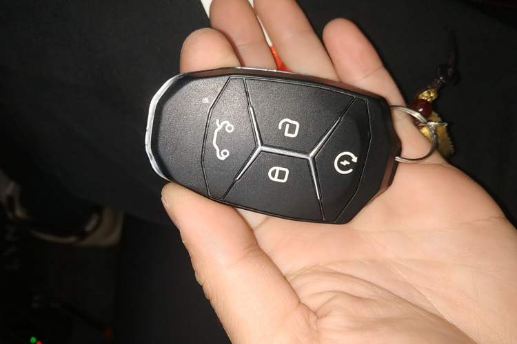 Used Lynk & Co 03 2019 1.5TD DCT JingPro Edition China VI Standard
