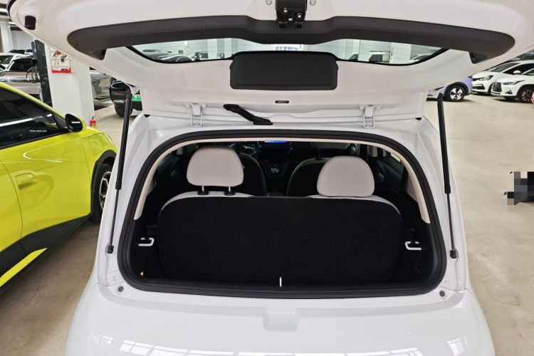 Used ORA White Cat 2020 360 km Luxury Version
