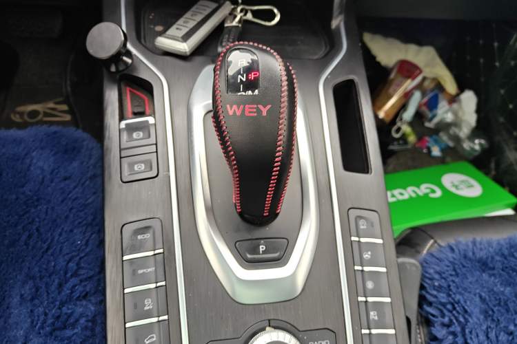 Used Wey VV6 2021 2.0T Two-Wheel Drive Smart Protection+
