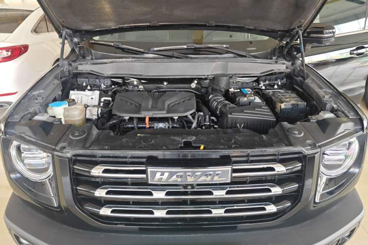 Used Haval DARGO 2022 2.0T DCT 4x4 Chinese Rural Dog Edition
