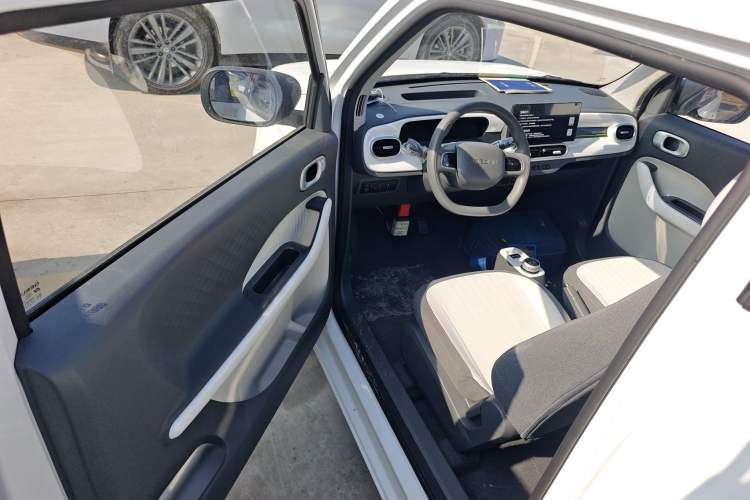 Used  Panda 2025 210 km – Yuanqi Bear
