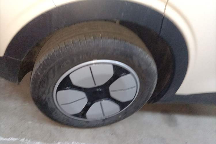 Used  Geome 2025 310km Youth Edition
