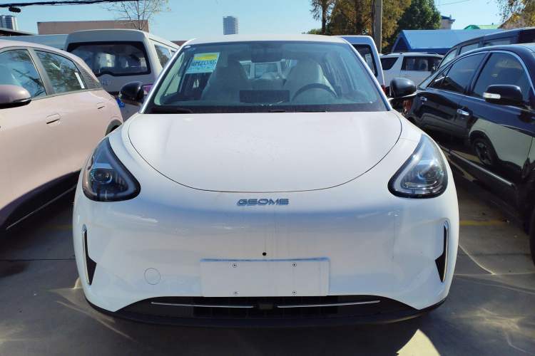 Used  Geome 2025 310km Dream Edition
