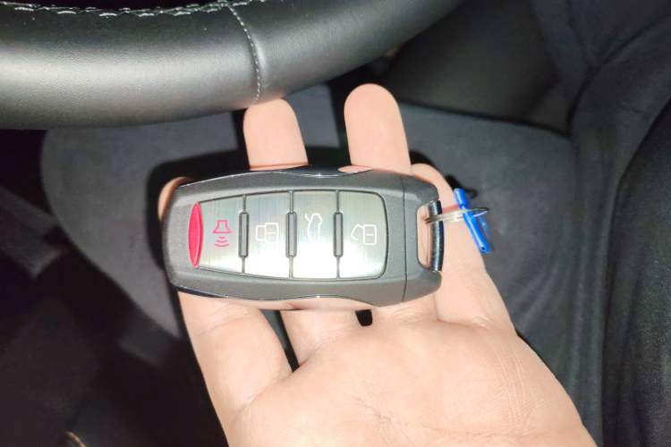 Used Haval DARGO 2024 2.0T DCT Chinese Rural Dog Edition