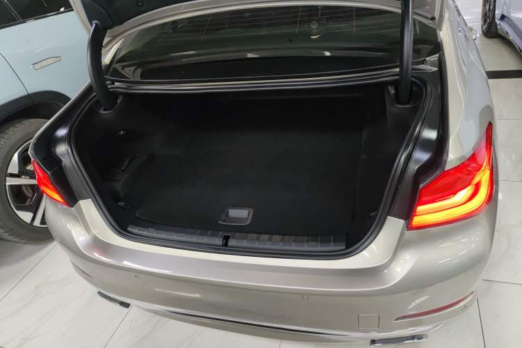 Used BMW 5 Series New Energy 2019 530Le Luxury Package
