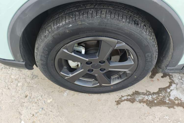 Used Geometry E Firefly 2022 320KM Cute Tiger 4-Seater