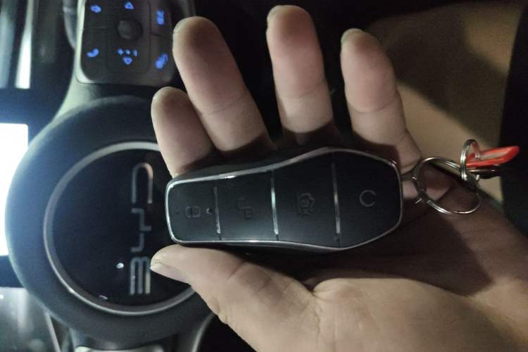 Used BYD Dolphin 2023 420 km Free Version
