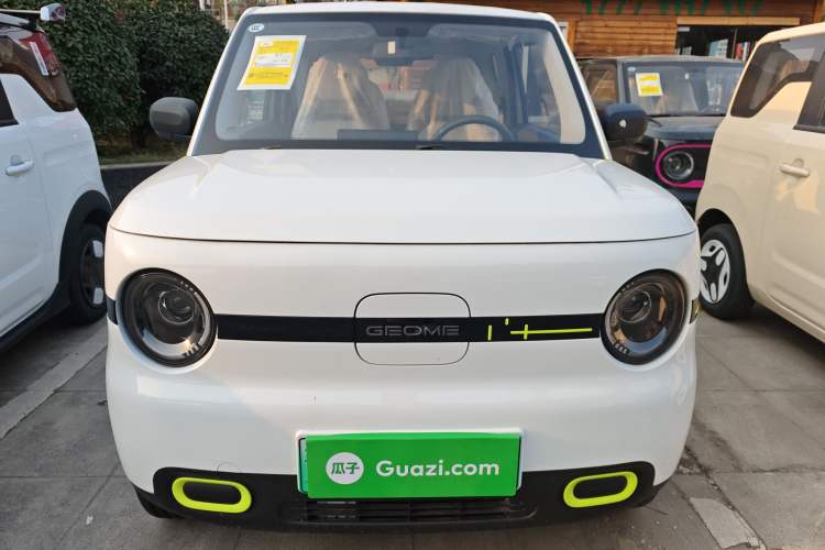 Used  Panda 2025 210 km – Yuanqi Bear
