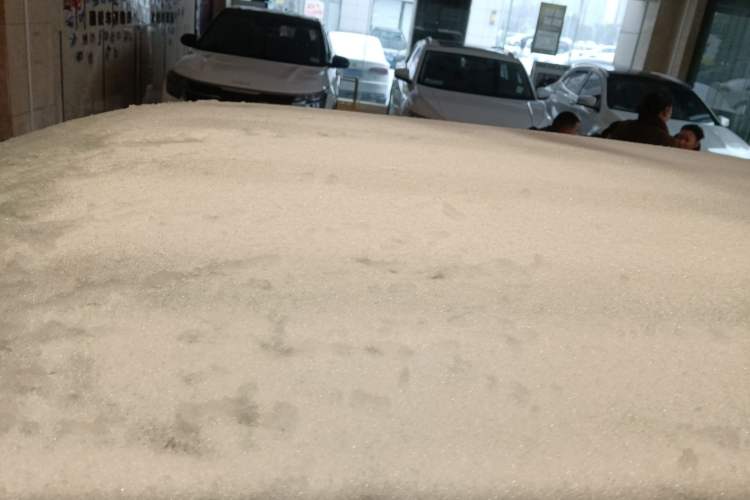 Used  Panda 2023 Panda Mini 200km Endurance Bear
