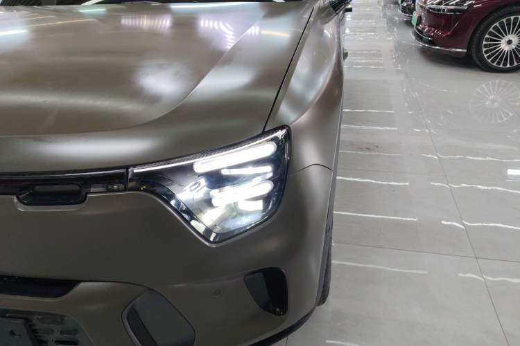 Used  #5 2024 Jungle Realm Limited Edition