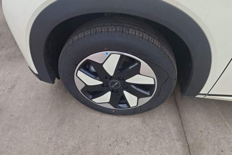 Used BYD Dolphin 2025 420km Free Edition