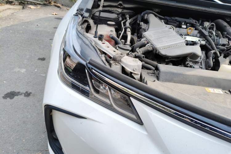 Used Toyota Corolla 2019 1.2T S-CVT GL-i Elite Edition
