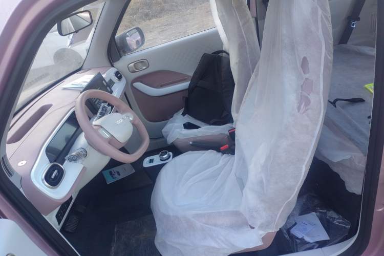 Used  Panda 2025 210 km – Yuanqi Bear
