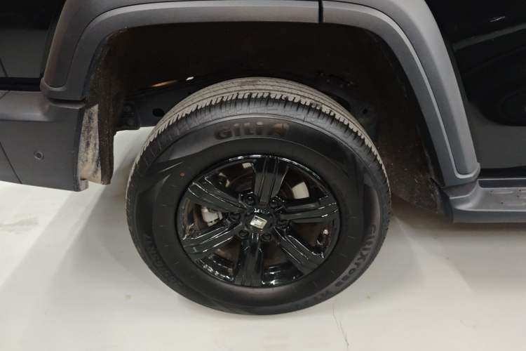 Used Tank 300 2025 2.0T Conqueror
