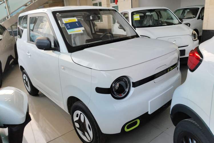 Used  Panda 2025 210 km – Yuanqi Bear

