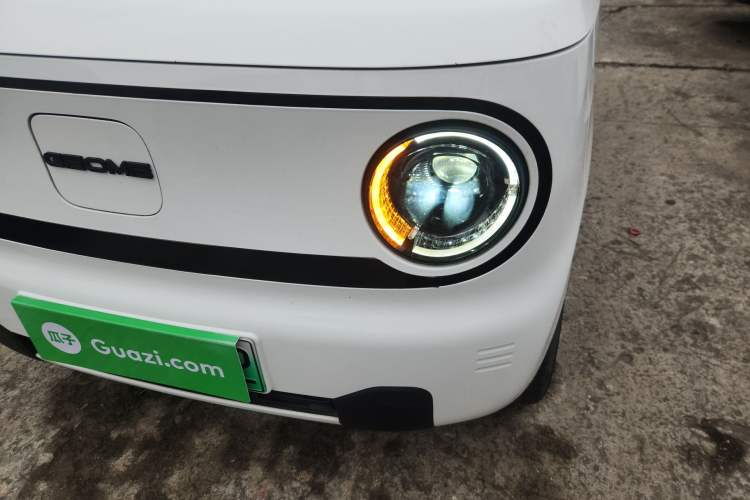 Used  Panda 2023 Panda Mini 200km Dynamic Bear
