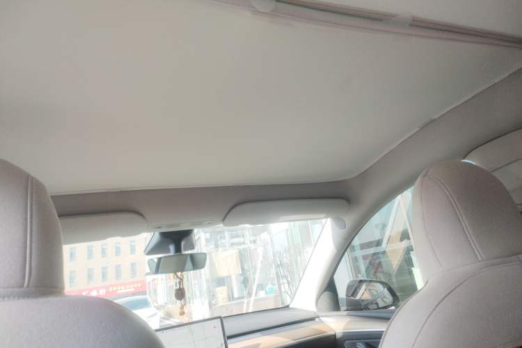 Used Tesla Model Y 2021 Standard Range Rear-Wheel Drive Version
