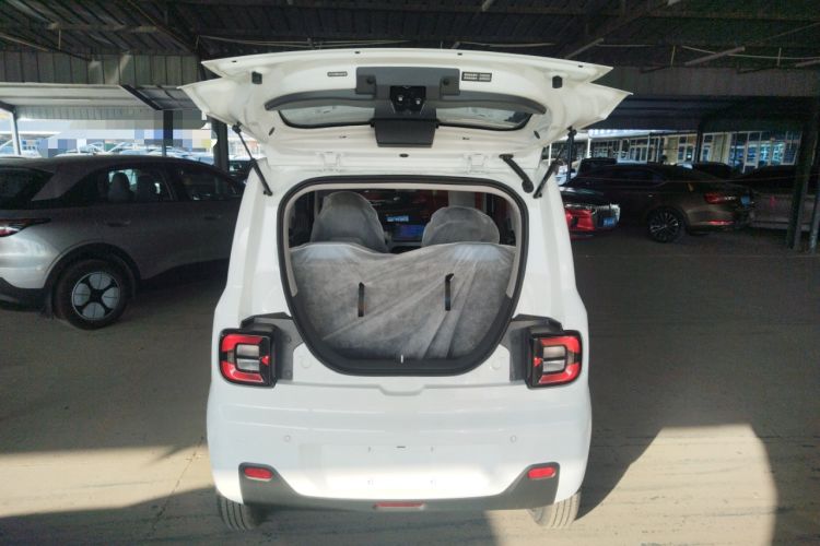 Used  Panda 2024 Panda Mini 200km Endurance Bear
