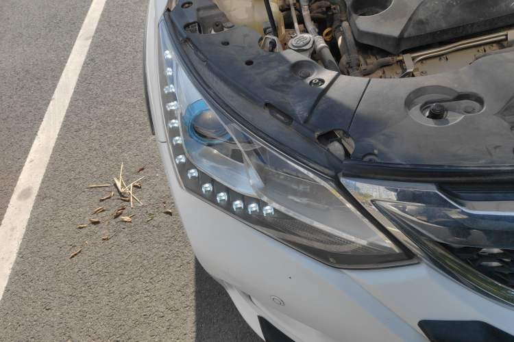 Used BYD Song 2017 Gaishi Upgrade Edition 1.5TID Automatic Luxury Model