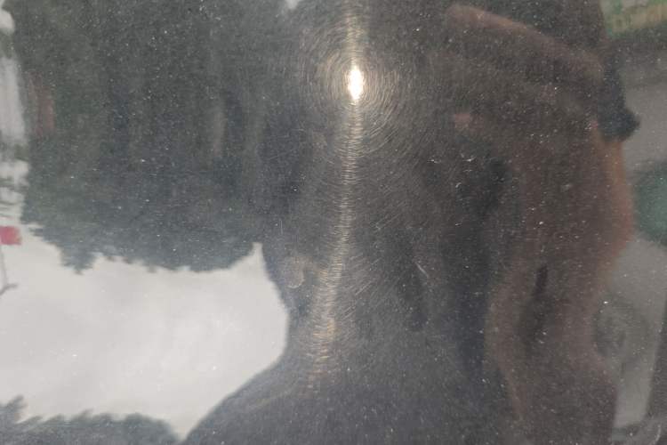 Used  fortwo 2018 1.0L 52kW Hardtop Dynamic Version China V
