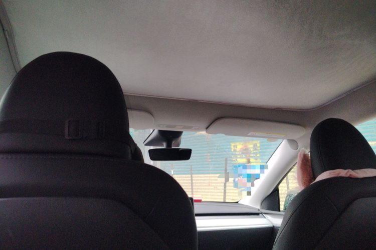 Used Tesla Model Y 2023 Rear-Wheel-Drive Version
