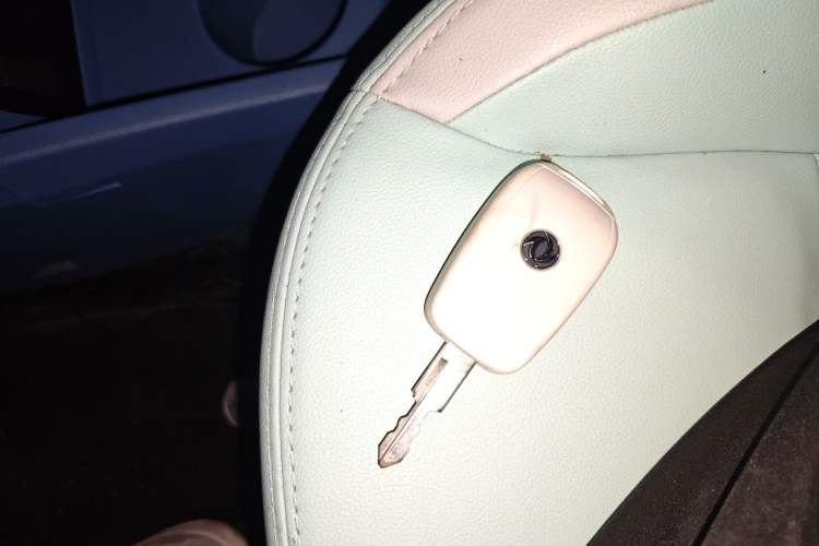 Used Dongfeng NAMMI BOX 2022 Revised Light Wind Edition 201 km Standard Version
