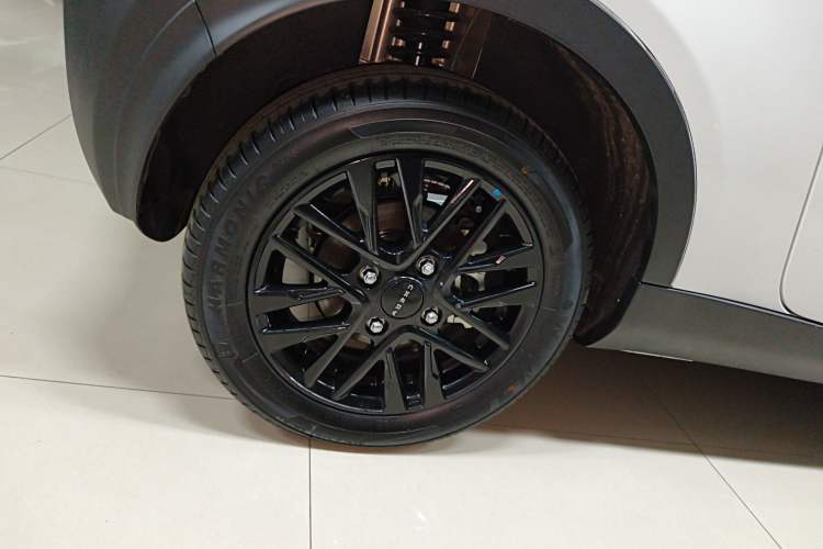 Used Chery Little Ant 2024 Revised Version Youth Edition 251 km True Love Edition 25.05 kWh
