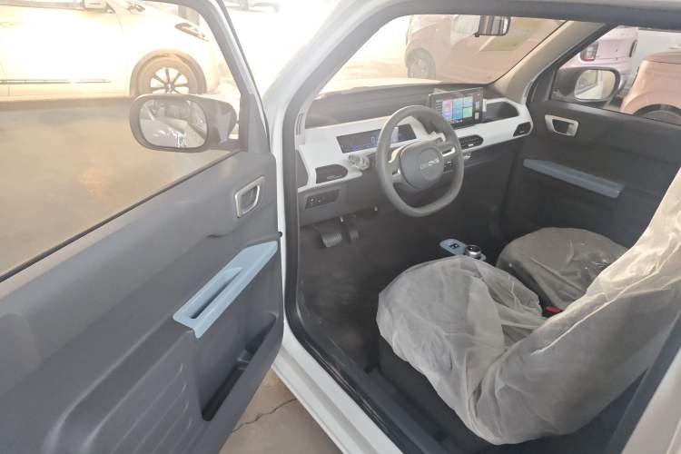 Used  Panda 2024 Panda Mini 200km Endurance Bear
