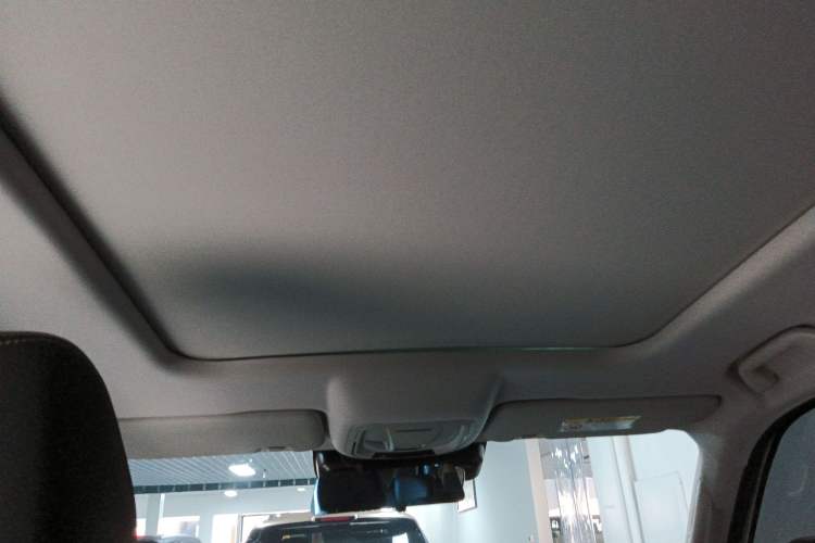 Used Haval DARGO 2024 2.0T DCT Chinese Rural Dog Edition
