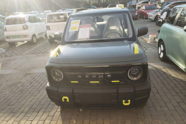 Used  Panda 2025 210km Panda Rider