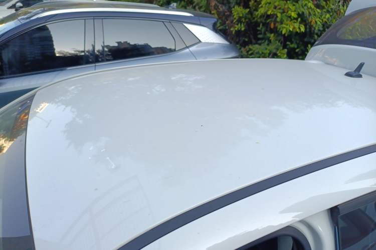 Used ORA Black Cat 2021 301 km Basic Version
