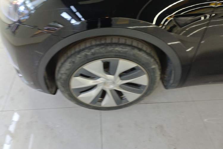 Used Tesla Model Y 2021 Standard Range Rear-Wheel Drive Version
