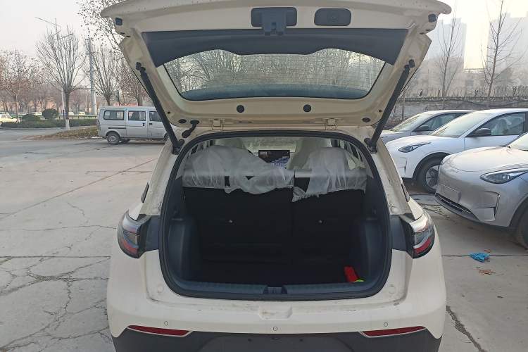 Used  Geome 2025 310km Dream Edition
