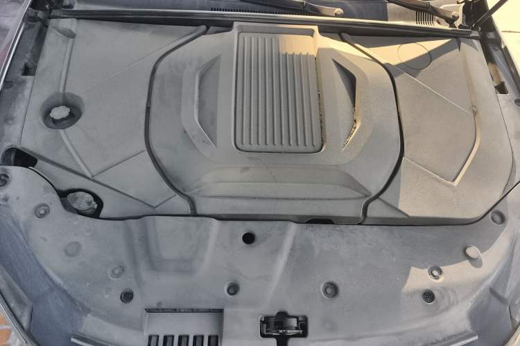 Used BYD Qin PLUS 2021 EV 400KM Luxury Model