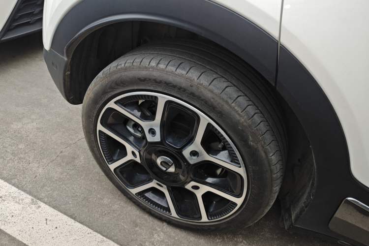 Used  #1 2022 Pulse Heartbeat Edition