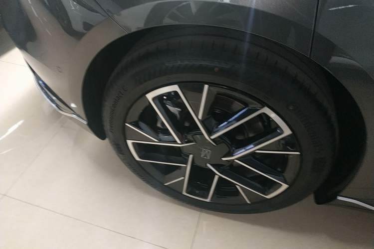 Used  06 2025 Max All-Electric Version
