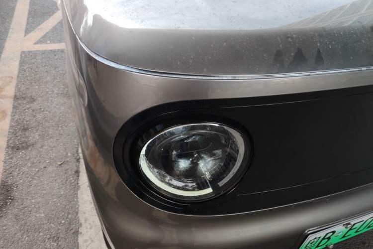 Used  Panda 2023 Panda Mini 200km Endurance Bear