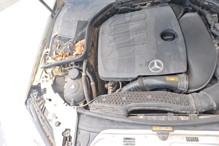 Used Mercedes-Benz C-Class 2019 C 260 L Sport Edition
