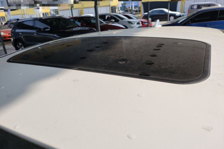 Used Ford Focus 2018 Hatchback Classic 1.6L Automatic Trendy SmartDrive Edition