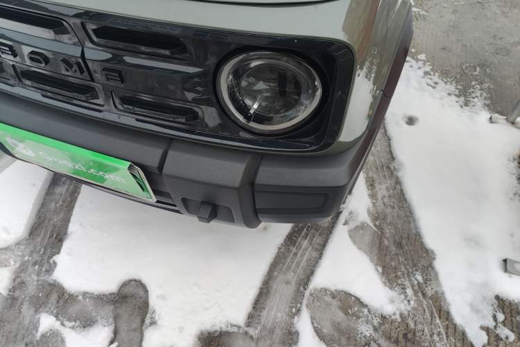 Used  Panda 2024 200km Panda Rider