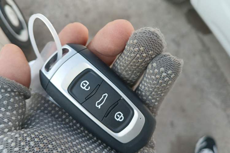 Used  Panda 2025 210 km – Yuanqi Bear
