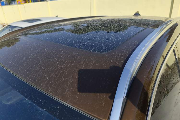 Used BMW X3 2014 xDrive20i X Design Package