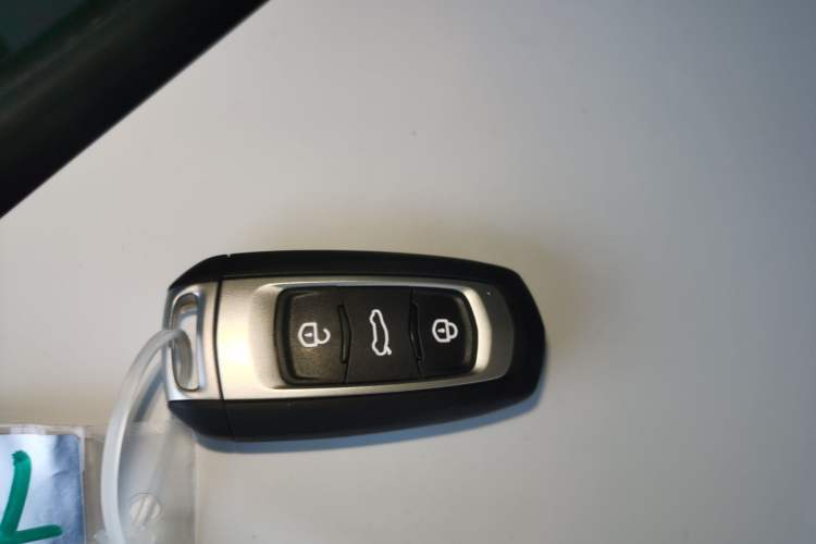 Used  Panda 2024 Panda Mini 200km Endurance Bear
