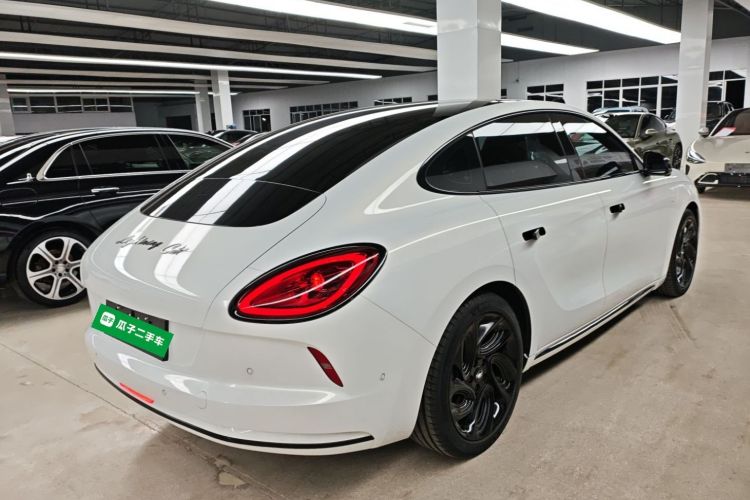 Used ORA Lightning Cat 2022 555 km Luxury Edition
