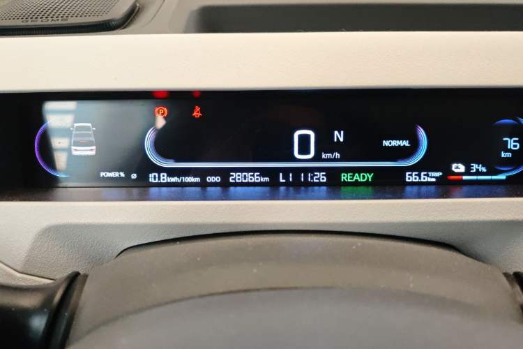 Used  Panda 2023 Panda Mini 200km Endurance Bear
